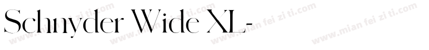 Schnyder Wide XL字体转换